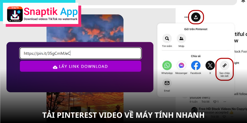 pinterest-video-tai-ve-may-tinh-voi-snaptik