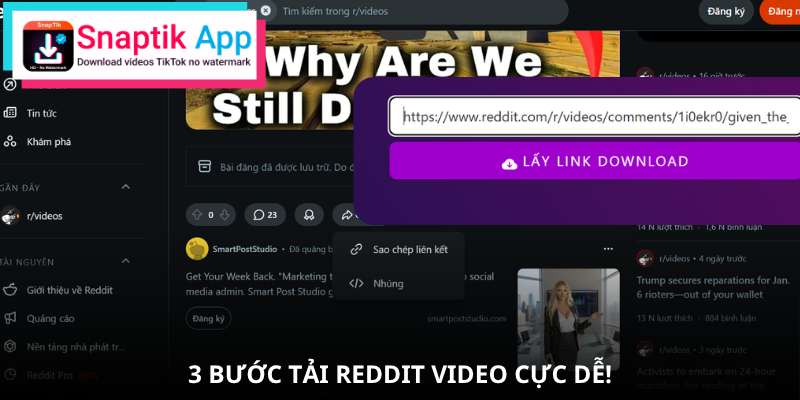 reddit-video-huong-dan-tai-voi-snaptik